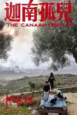 《中东大宝荐2：迦南孤儿 (2024)》：流离失所中的希望与救赎