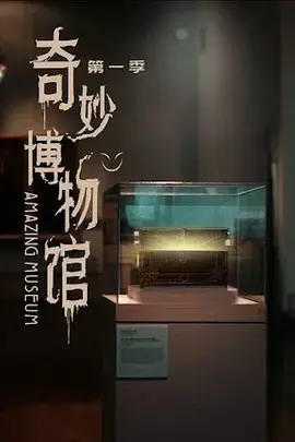奇妙博物馆 第一季 海报