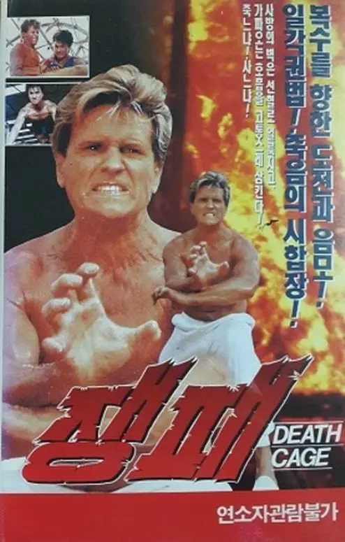 《搏击英雄》：硬汉拳头的温柔与救赎，一场关于信仰与生存的血汗史诗