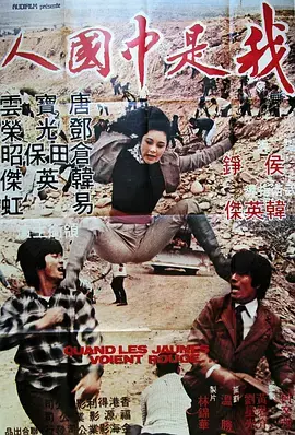 《怒发冲冠》：历史洪流下的忠诚与背叛，一场荡气回肠的民族史诗